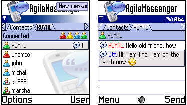 Внешний вид программы (Symbian S60)